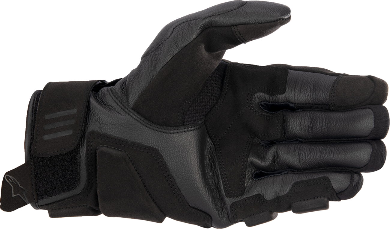 Alpinestars - Phenom Gloves - Black/White