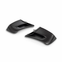 96981512AA - CARBON WINGS PANIGALE V4