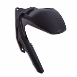 96981911AA - Carbon rear mudguard - Panigale V4