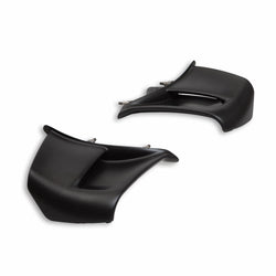 96981831AA - Pair of carbon wings - Panigale V4