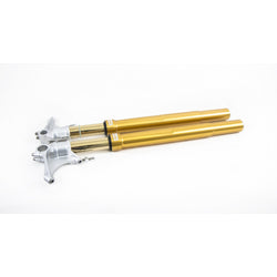 FGRT 231 - Ohlins - Street R&T 43 Fork - Panigale