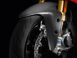 96980921A - MATT CARBON FRONT MUDGUARD SUPERSPORT