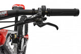 Ducati THOK TK-01RR Electric Bicycle e-Enduro Bike
