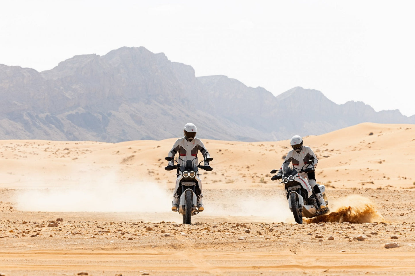 2025 Ducati DesertX - Star White Silk