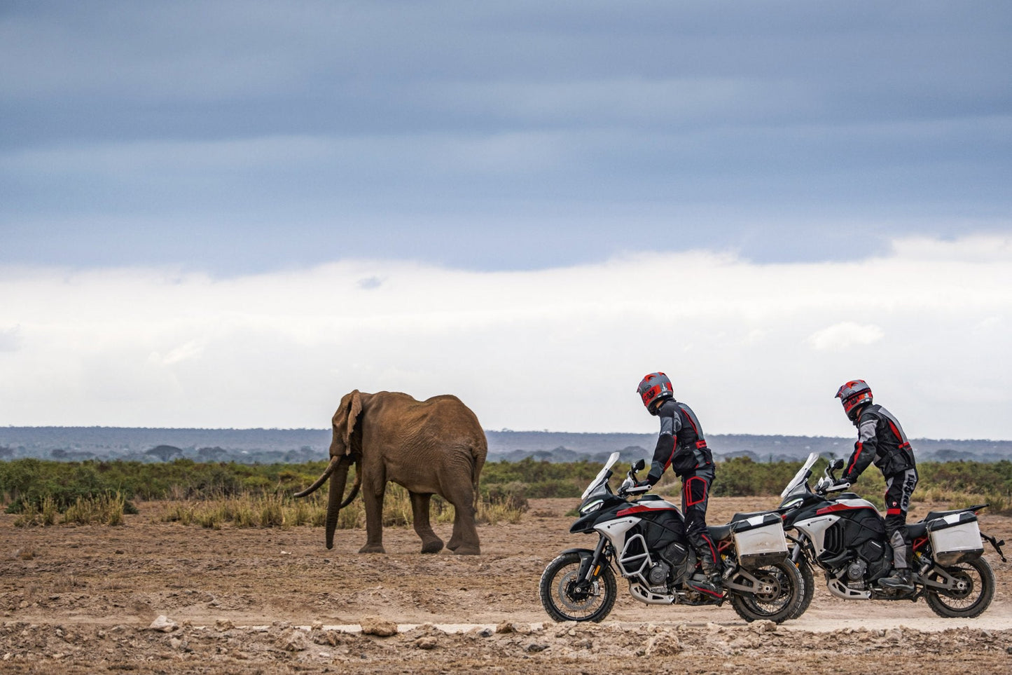2025 Ducati Multistrada V4 Rally - Red
