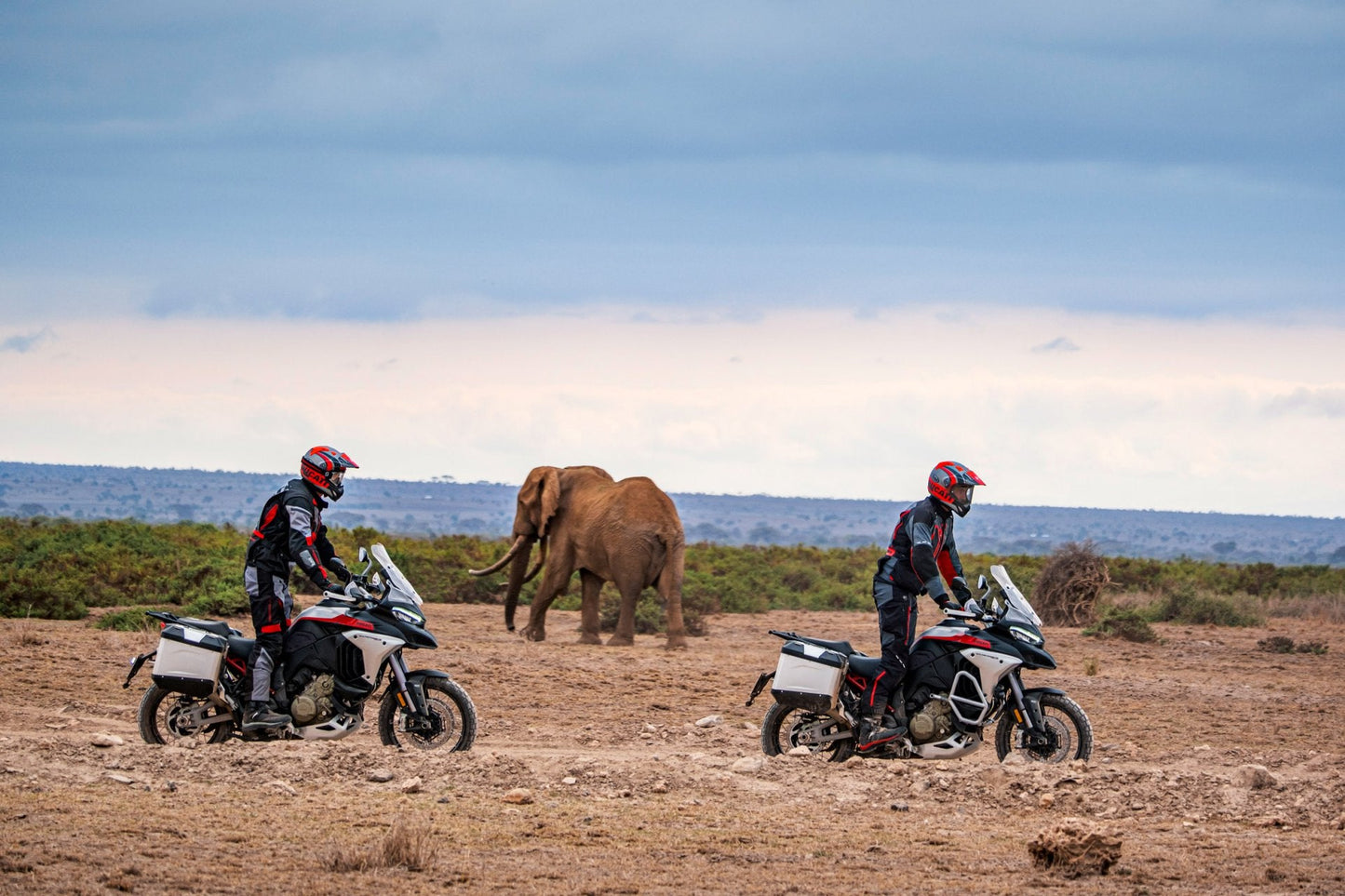 2025 Ducati Multistrada V4 Rally - Red