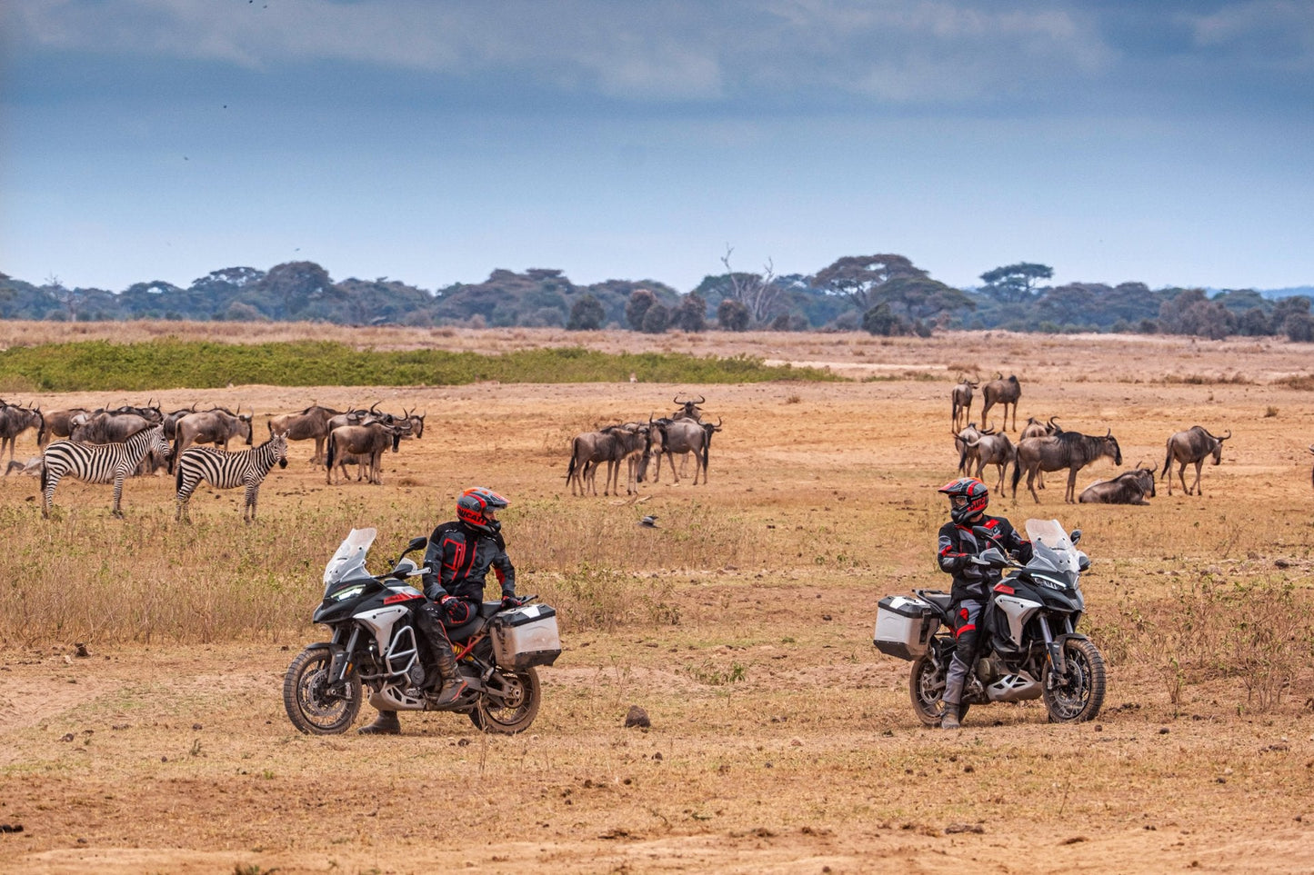 2025 Ducati Multistrada V4 Rally - Red