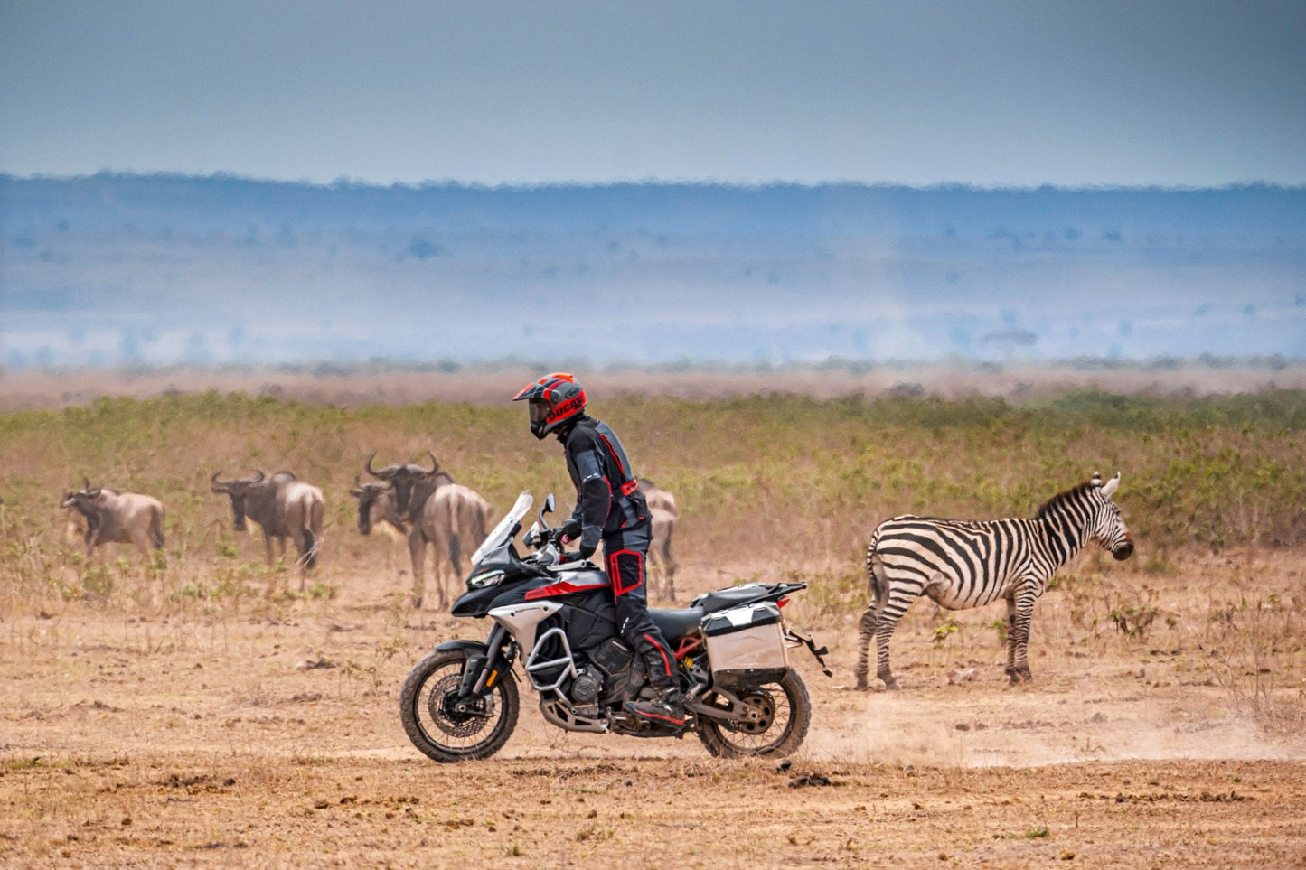 2025 Ducati Multistrada V4 Rally - Red