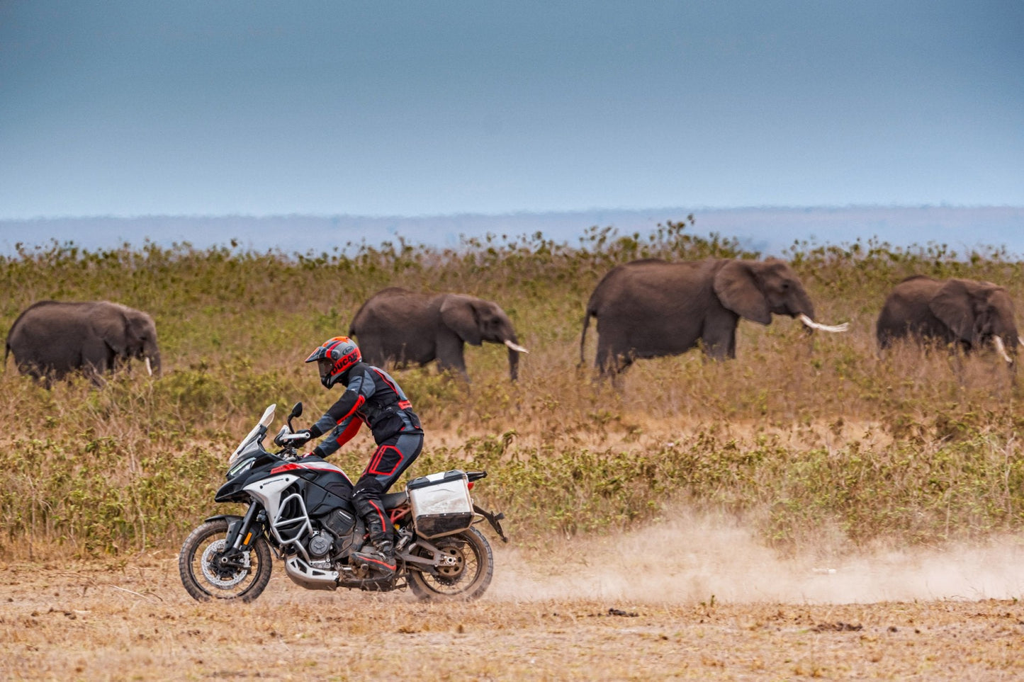 2025 Ducati Multistrada V4 Rally - Red