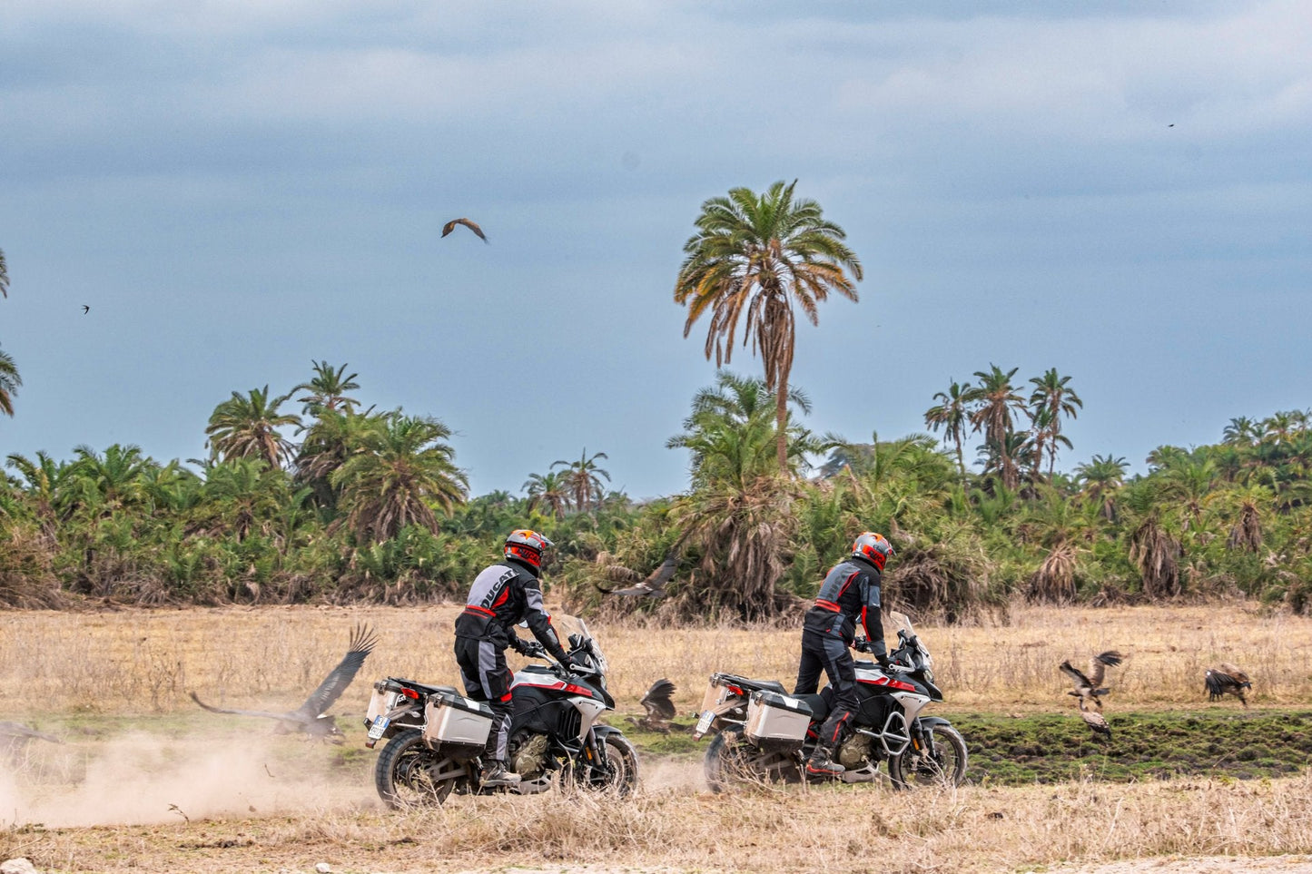 2025 Ducati Multistrada V4 Rally - Red