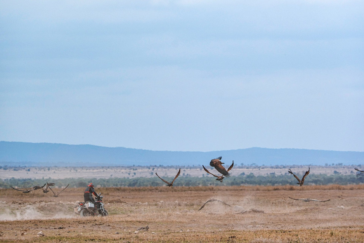 2025 Ducati Multistrada V4 Rally - Red