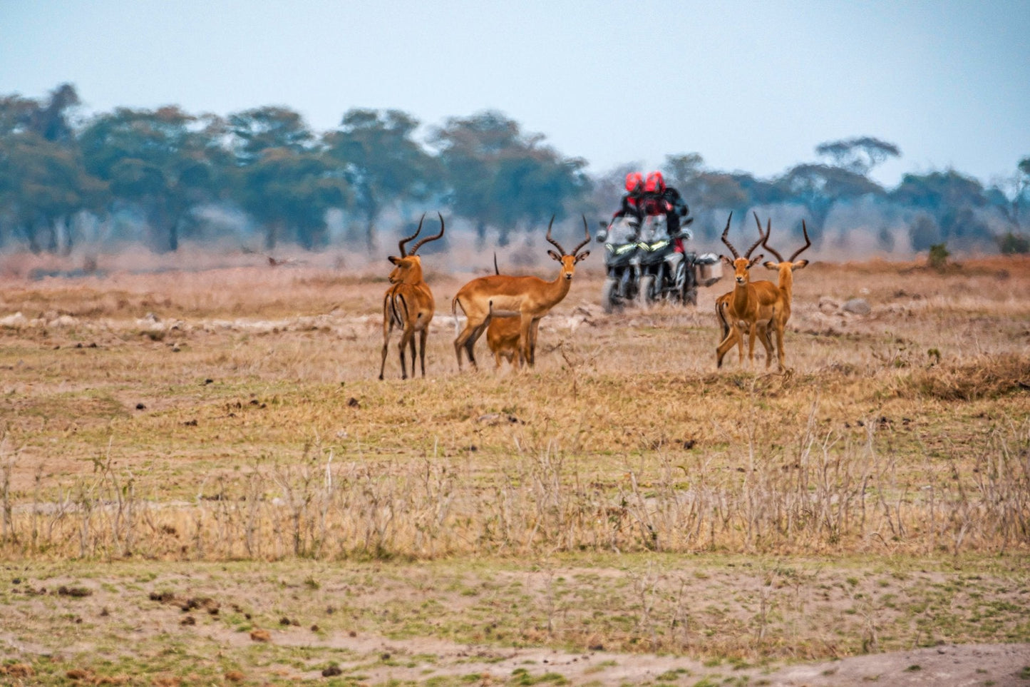 2025 Ducati Multistrada V4 Rally - Red