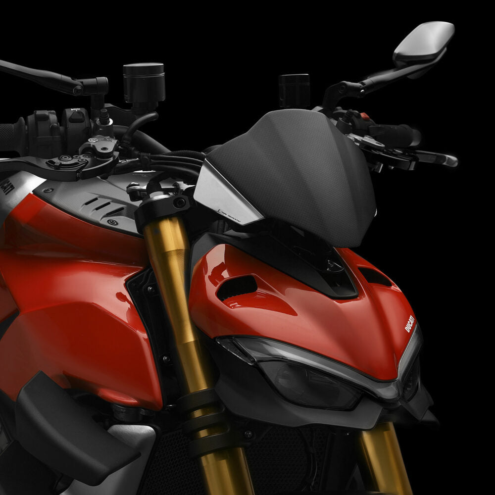 ZDM149 - RIZOMA - Headlight Fairing With Mount