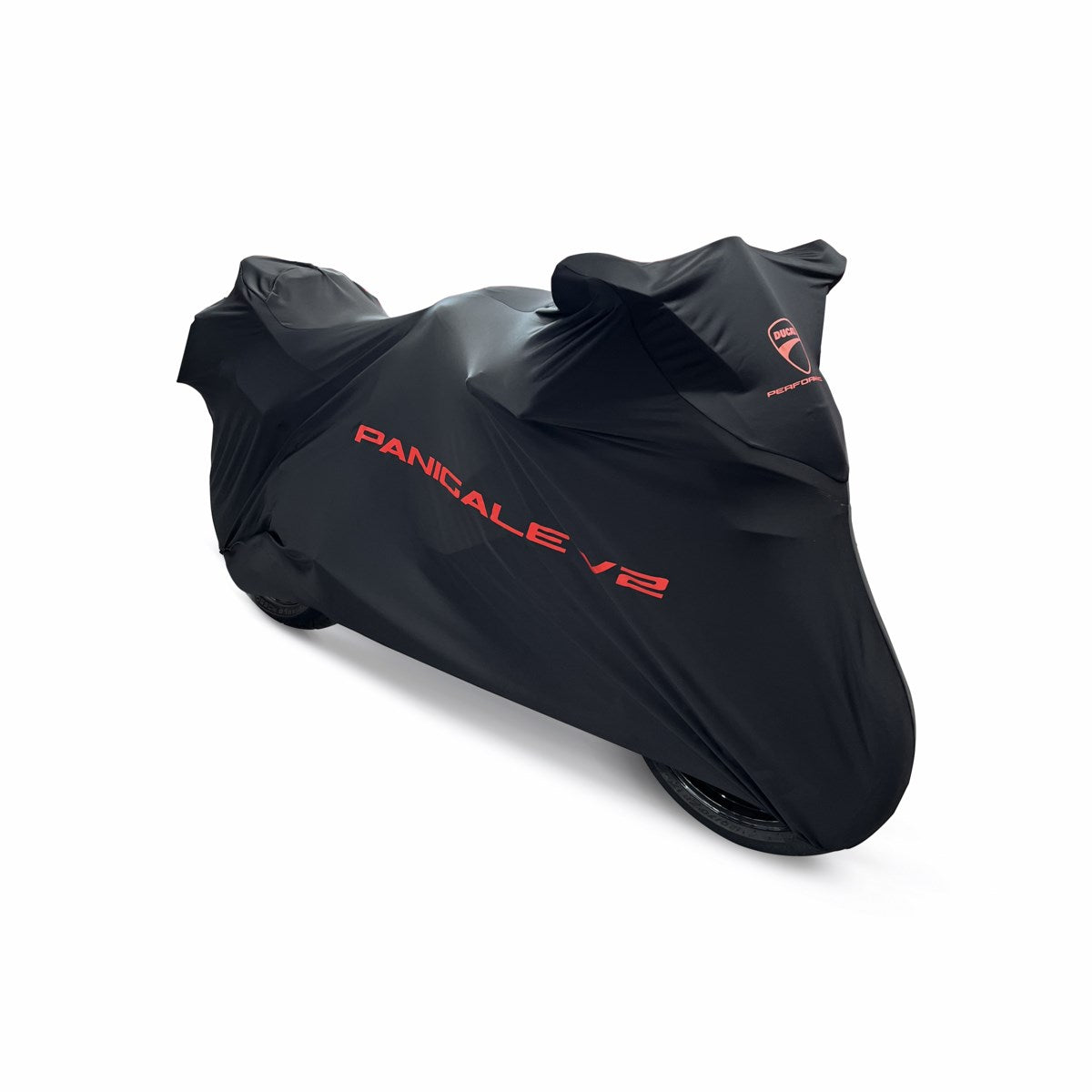 97580261AA - Indoor Bike Canvas - Panigale V2