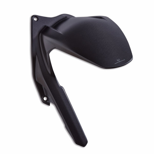 96981911AA - Carbon rear mudguard - Panigale V4