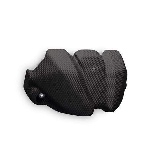 96982131AA - Carbon instrument cover - Streetfighter V2