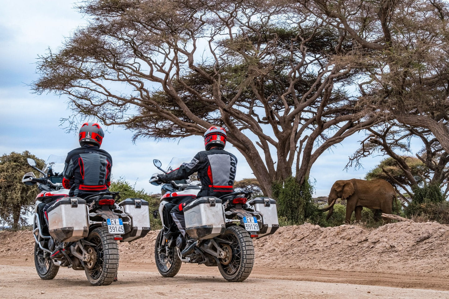 2025 Ducati Multistrada V4 Rally - Red