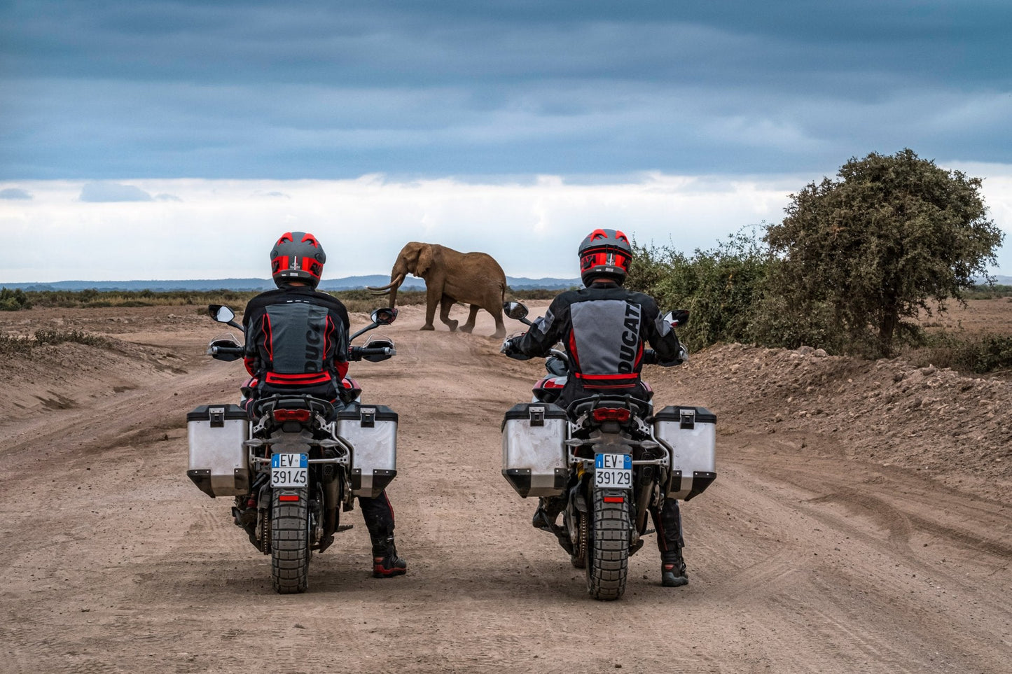 2025 Ducati Multistrada V4 Rally - Red