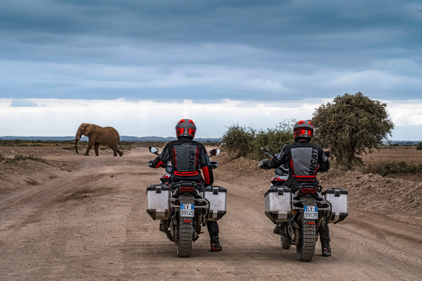 2025 Ducati Multistrada V4 Rally - Red