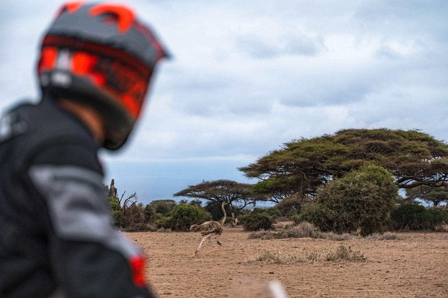 2025 Ducati Multistrada V4 Rally - Red