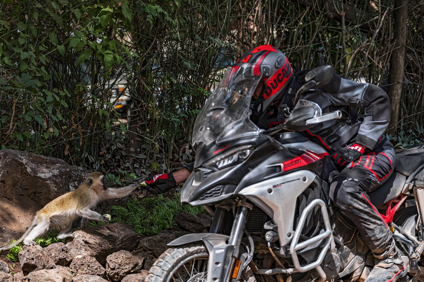 2025 Ducati Multistrada V4 Rally - Red