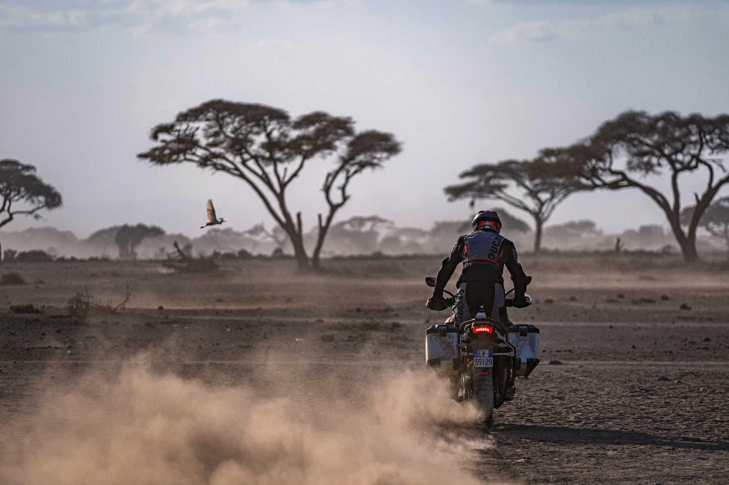 2025 Ducati Multistrada V4 Rally - Red