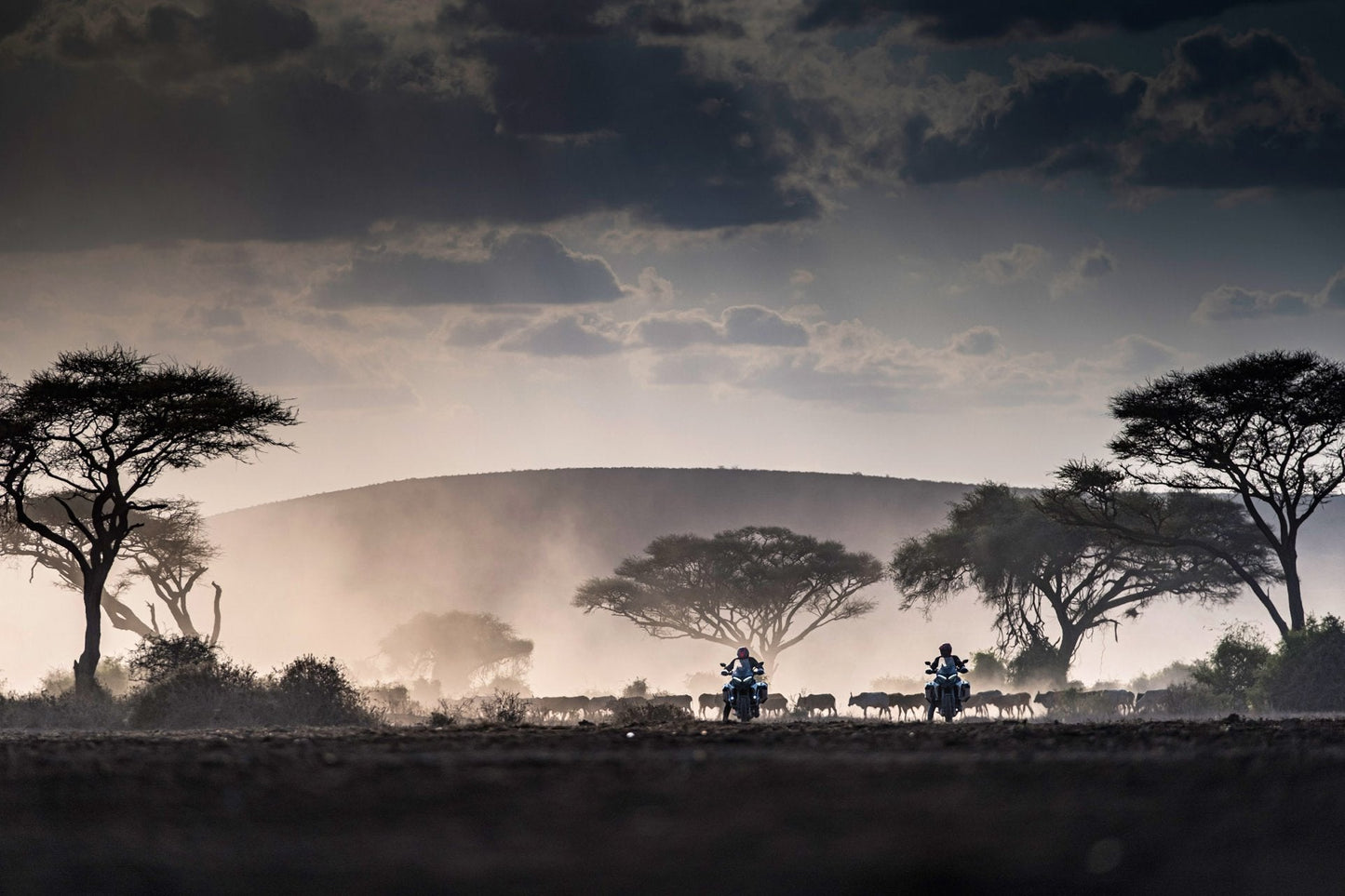 2025 Ducati Multistrada V4 Rally - Red