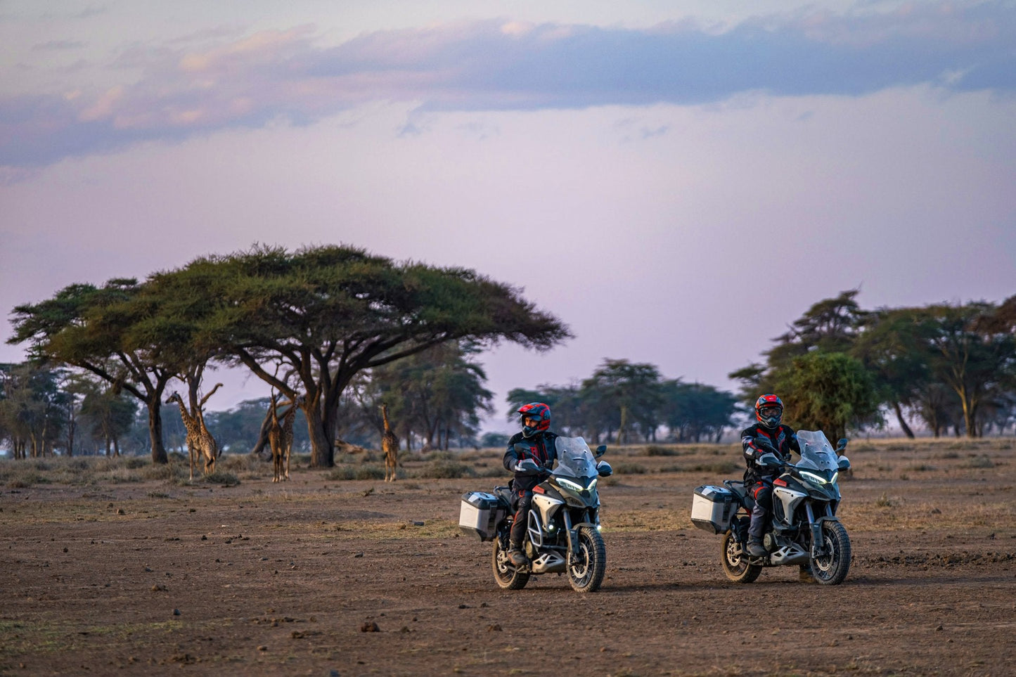 2025 Ducati Multistrada V4 Rally - Red