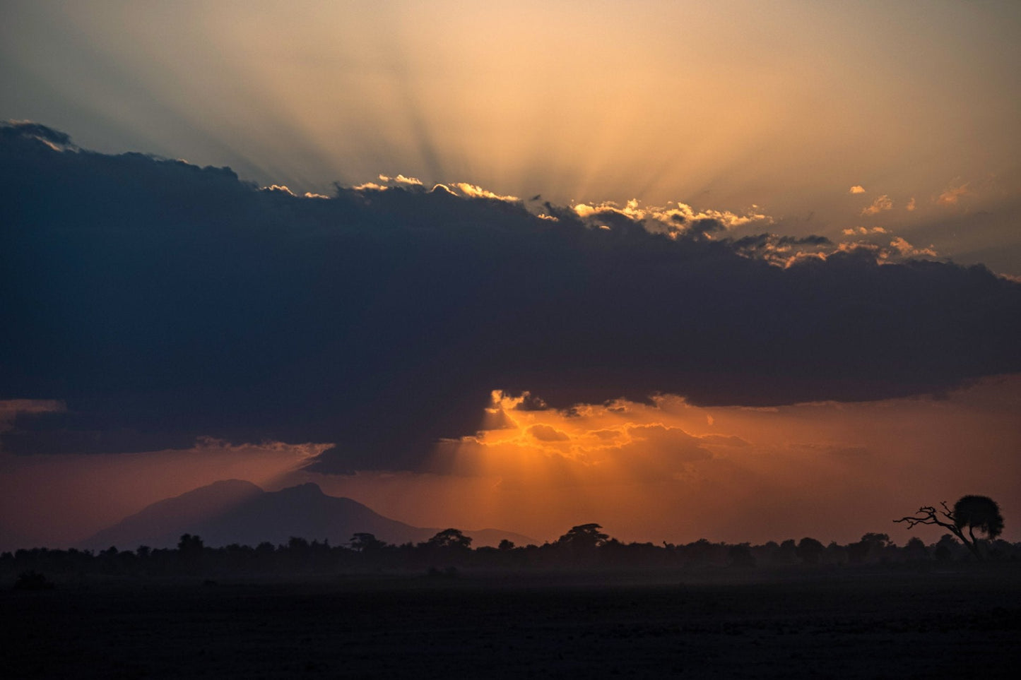 2025 Ducati Multistrada V4 Rally - Red