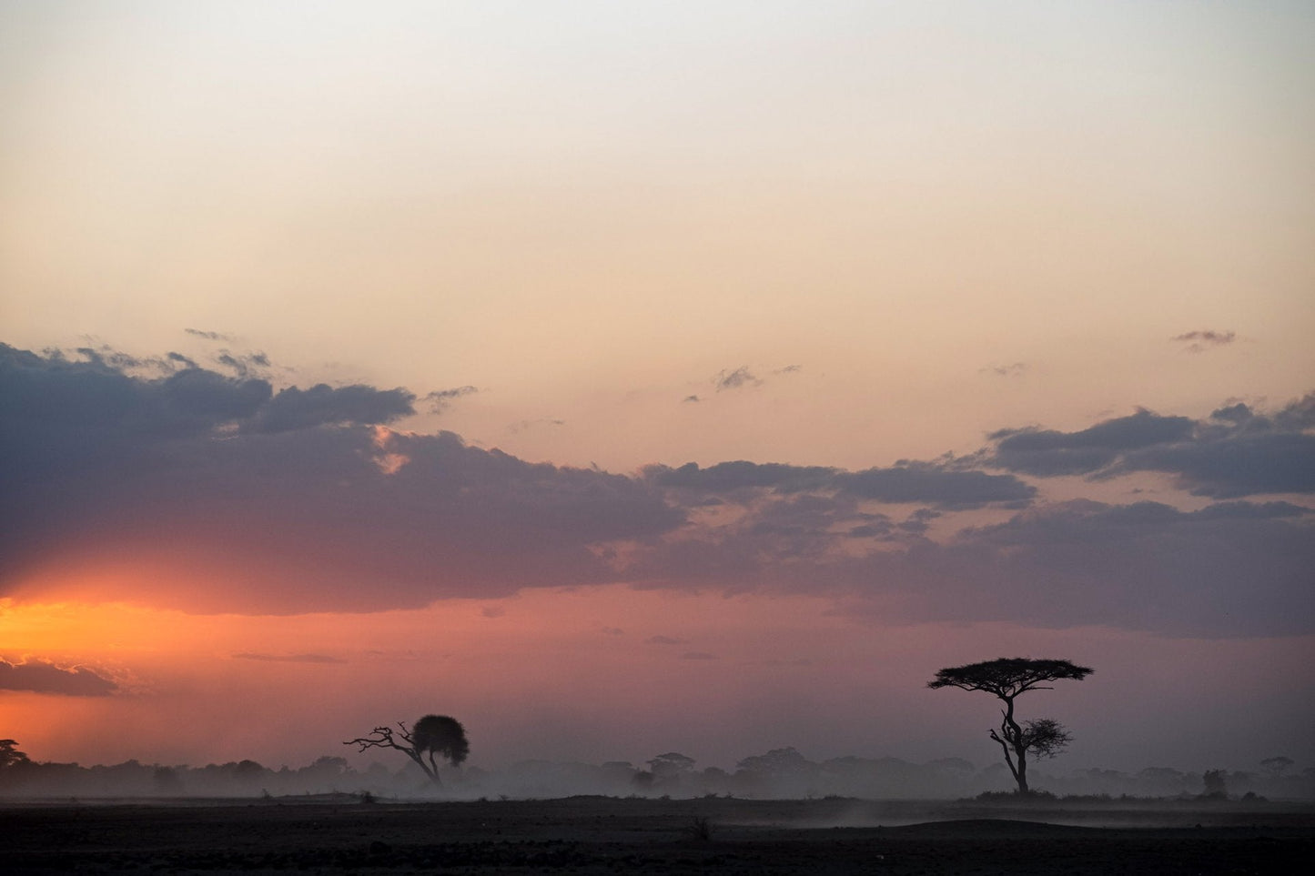 2025 Ducati Multistrada V4 Rally - Red