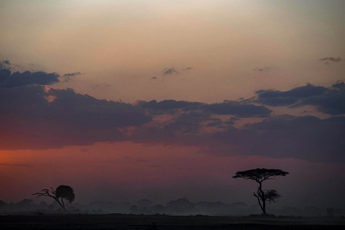 2025 Ducati Multistrada V4 Rally - Red