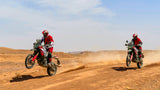 2025 Ducati DesertX Rally - Rally Livery