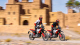2025 Ducati DesertX Rally - Rally Livery