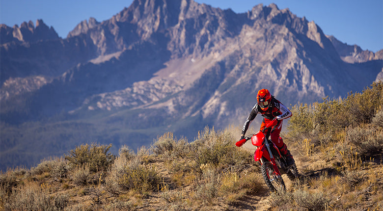 2026 Ducati Desmo450 EDX