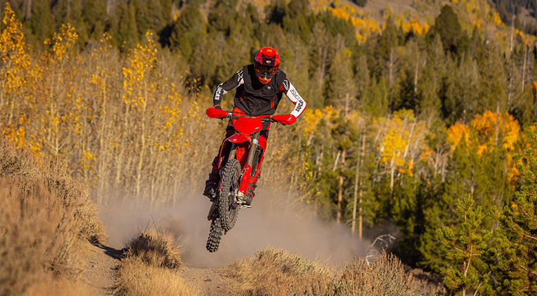 2026 Ducati Desmo450 EDX