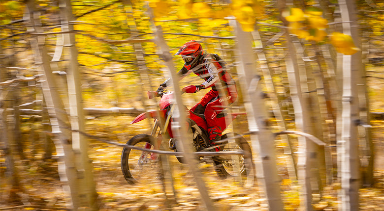 2026 Ducati Desmo450 EDX