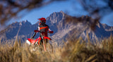 2026 Ducati Desmo450 EDX