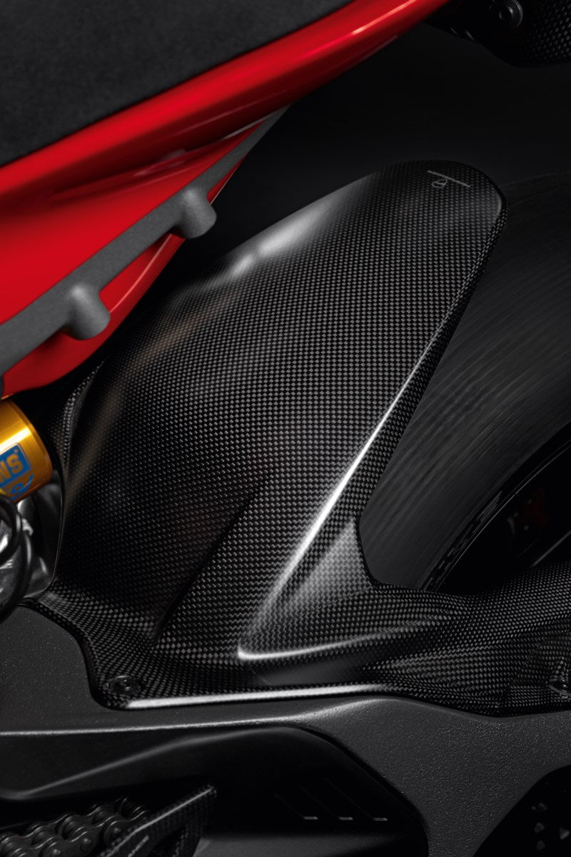 96981911AA - Carbon rear mudguard - Panigale V4
