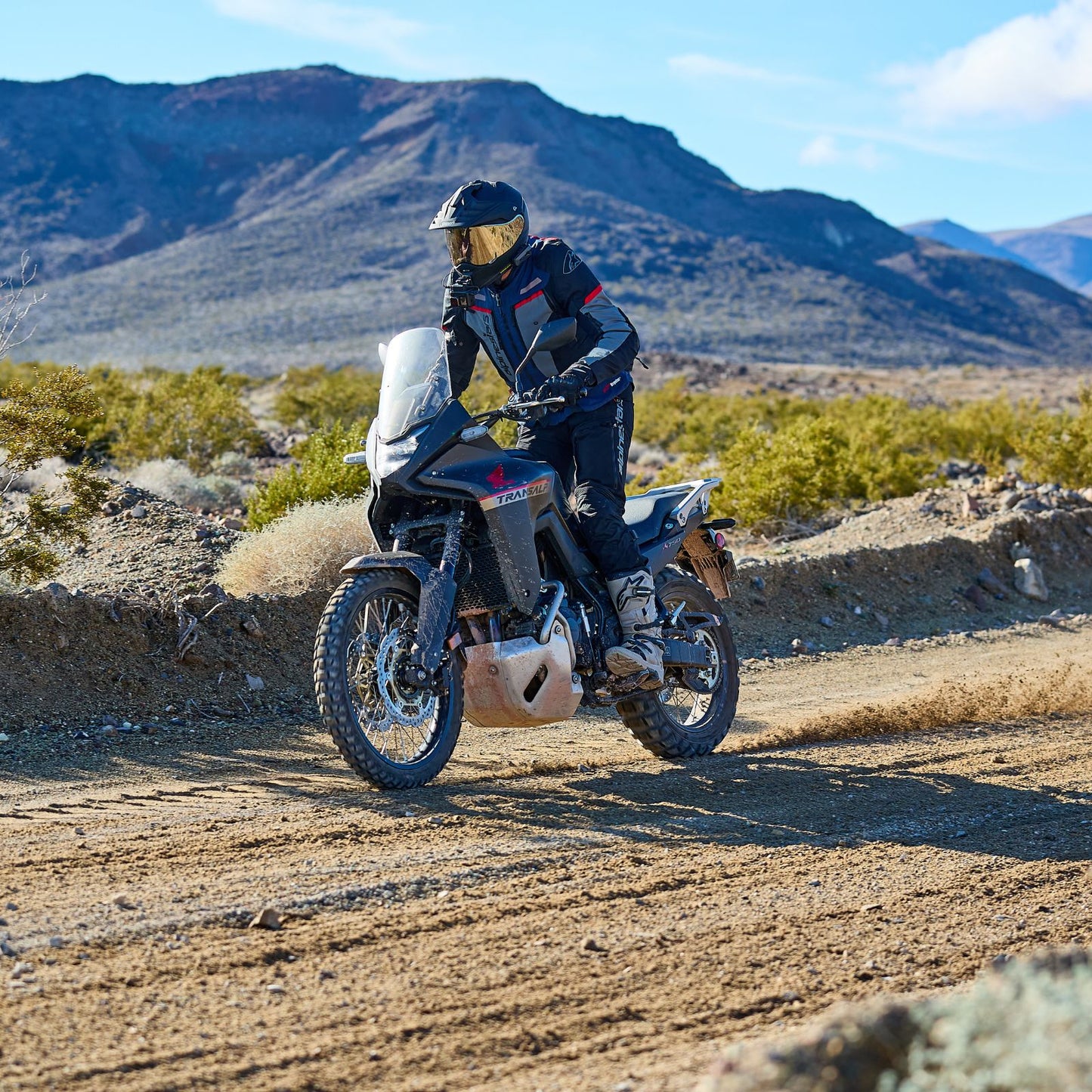 SHOEI - Hornet X2 - MATTE GREY