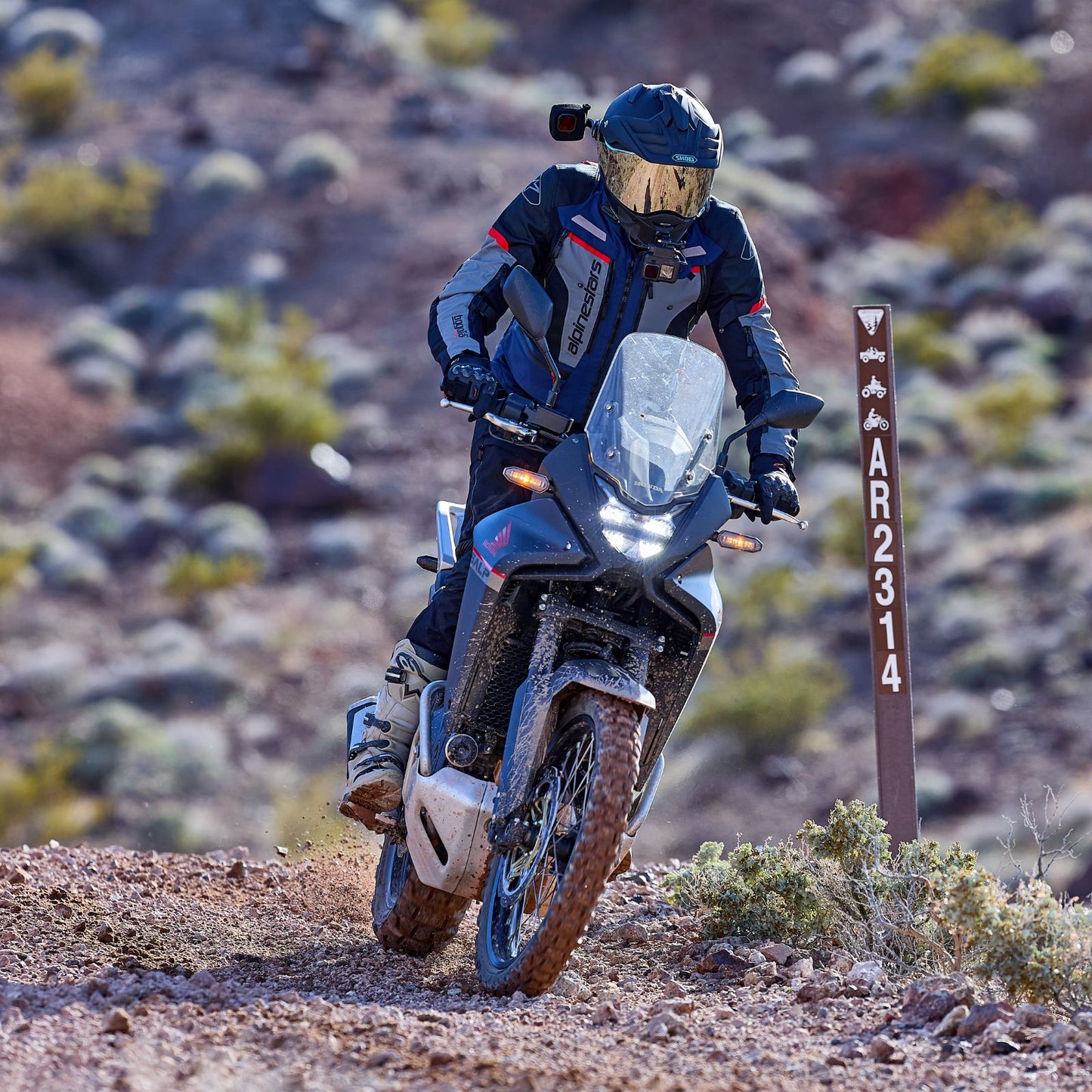 SHOEI - Hornet X2 - WHITE