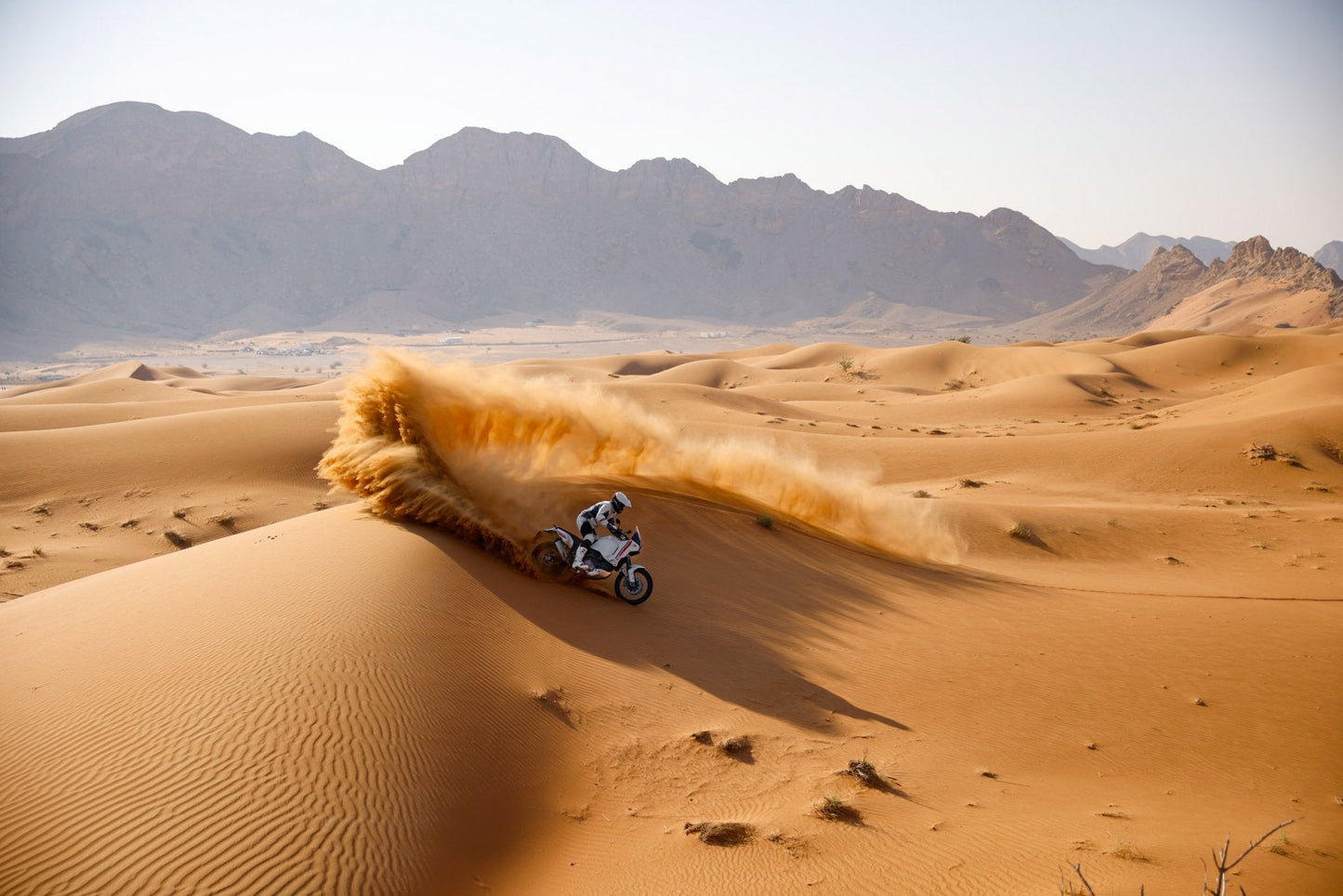 2025 Ducati DesertX - Star White Silk