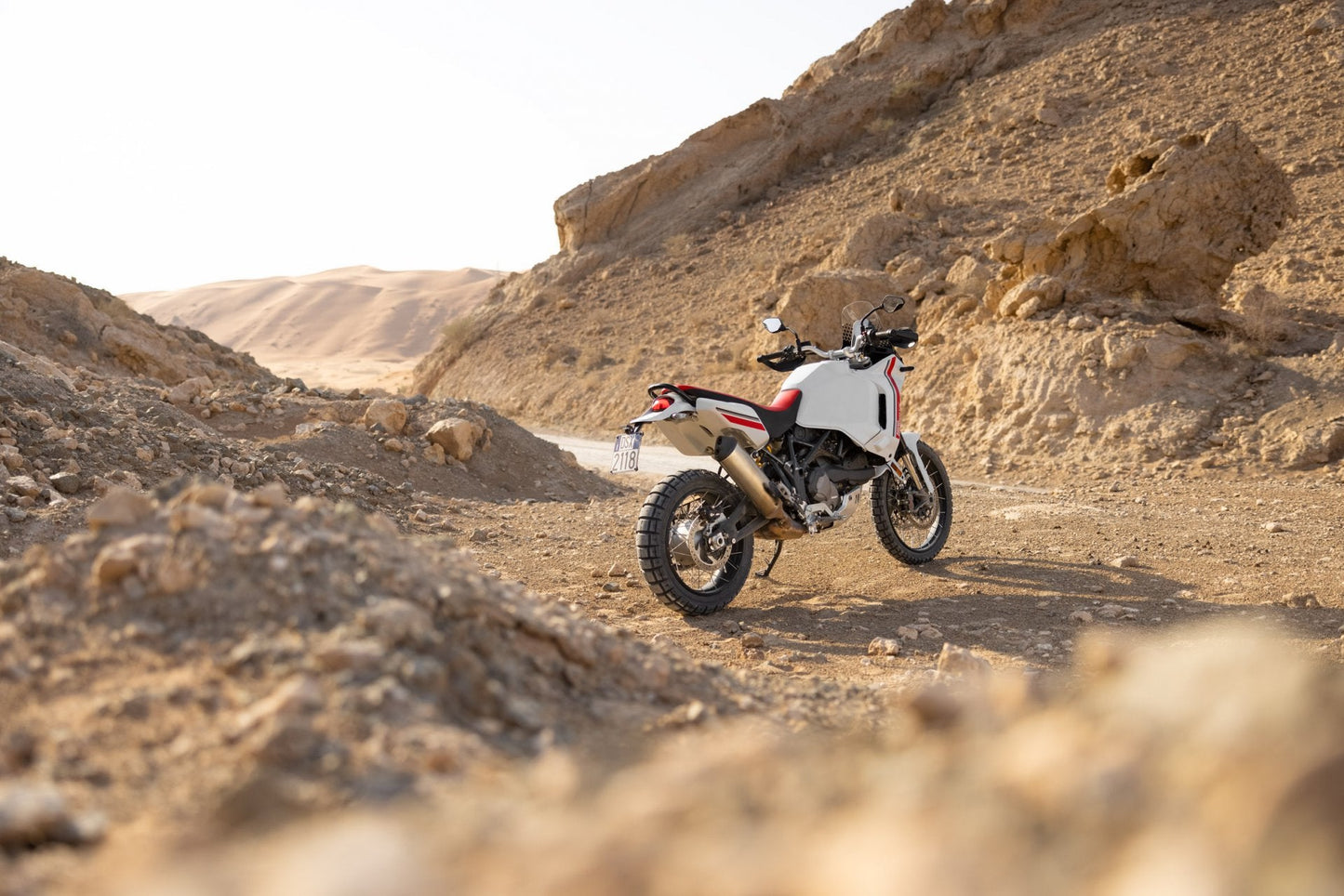 2025 Ducati DesertX - Star White Silk