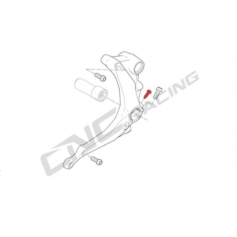 KV423N - CNC Racing Swing arm pivot Screws for Panigale 1199 / 1299 R FE
