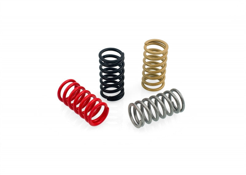 MO14 - CNC Racing Dry Clutch Colored Stainless Steel Spring Set