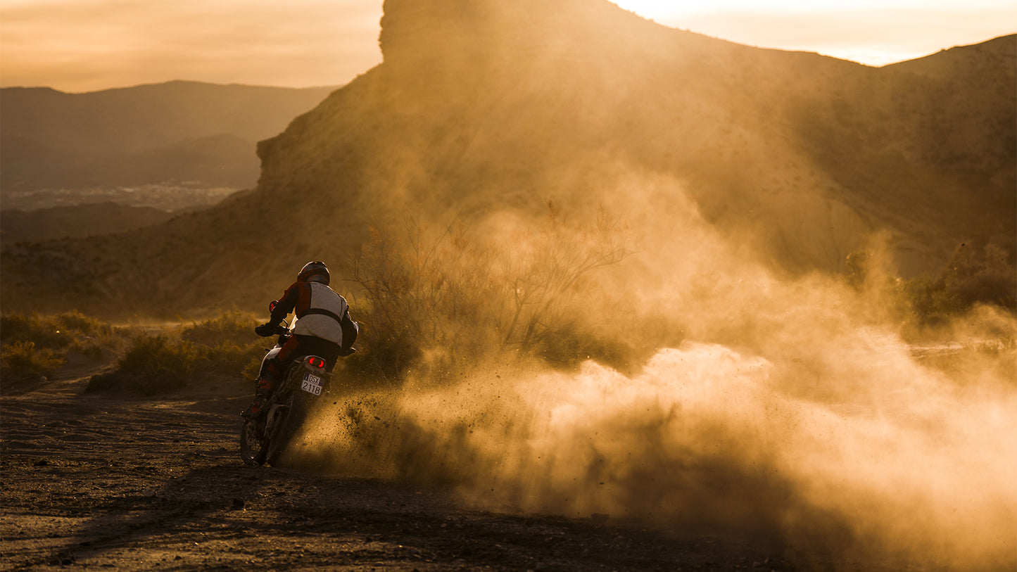 2026 Ducati DesertX V2