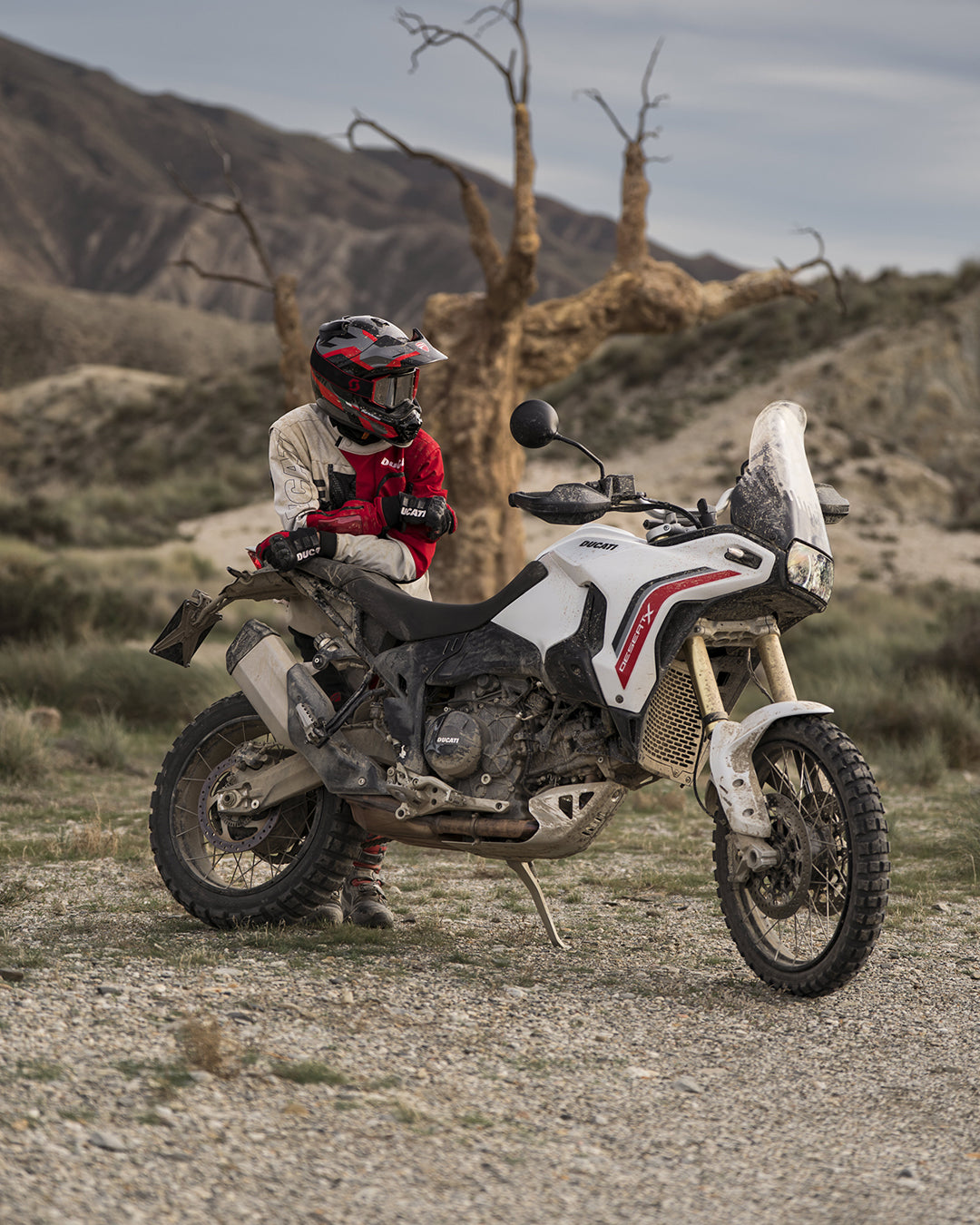 2026 Ducati DesertX V2
