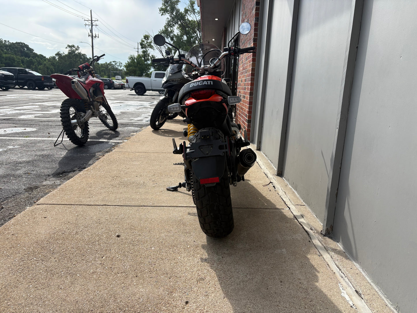 PREMIUM PREOWNED 2019 Ducati Scrambler Icon (1509)