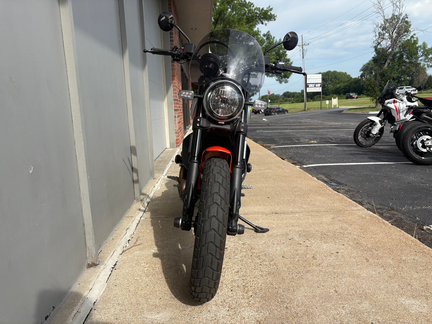 PREMIUM PREOWNED 2019 Ducati Scrambler Icon (1509)