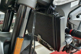RA069B - CNC Racing Radiator Guard for Ducati Monster 937