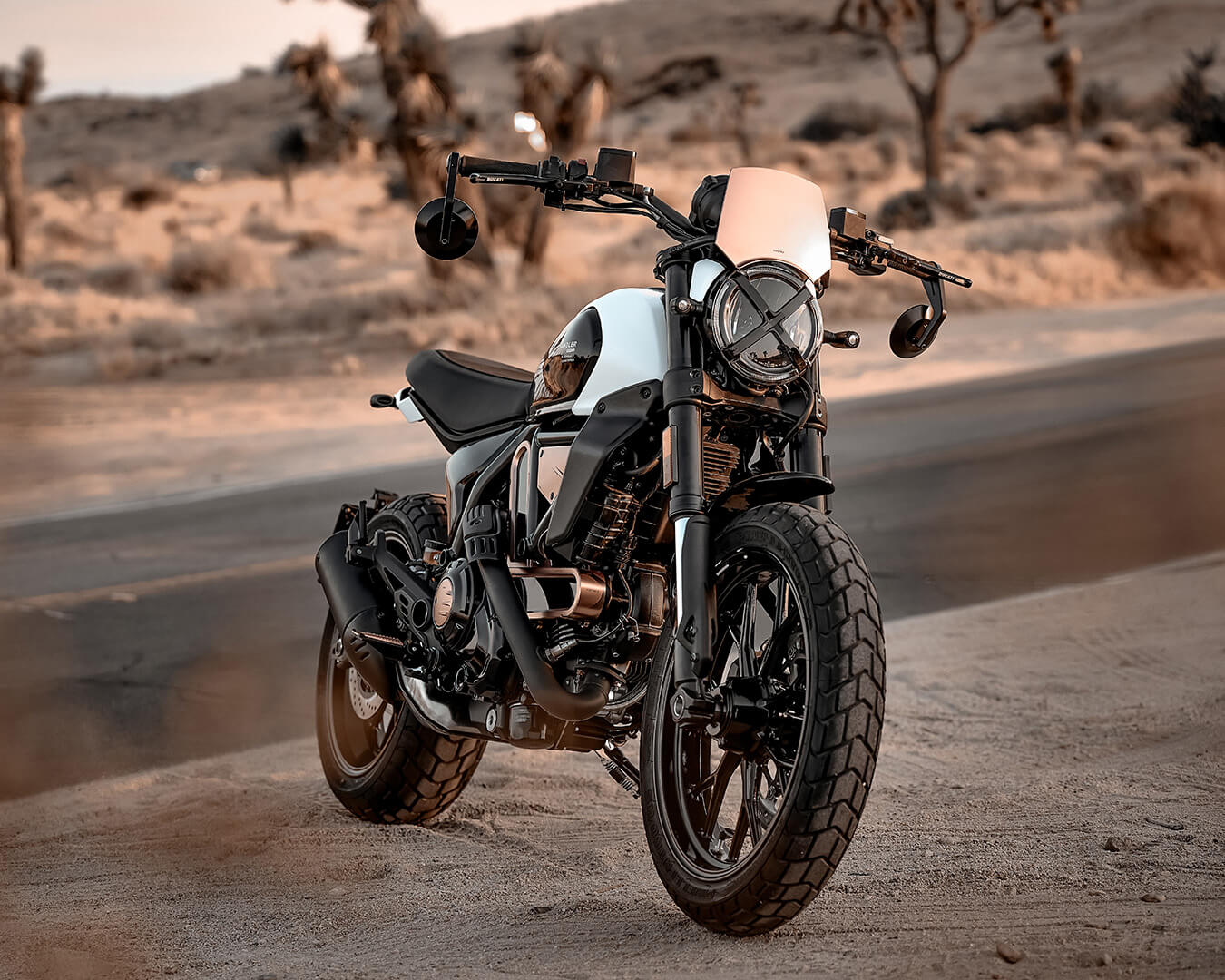 2025 Ducati Scrambler 10th Anniversario RIZOMA Edition